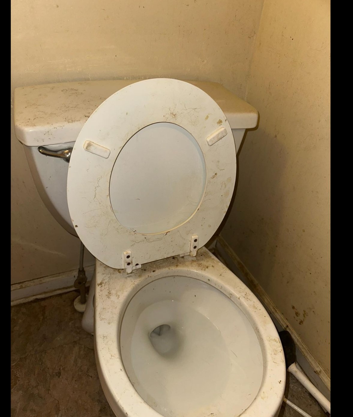 Toilet before cleaning